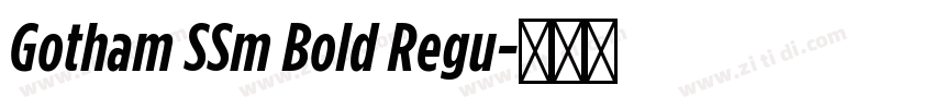 Gotham SSm Bold Regu字体转换